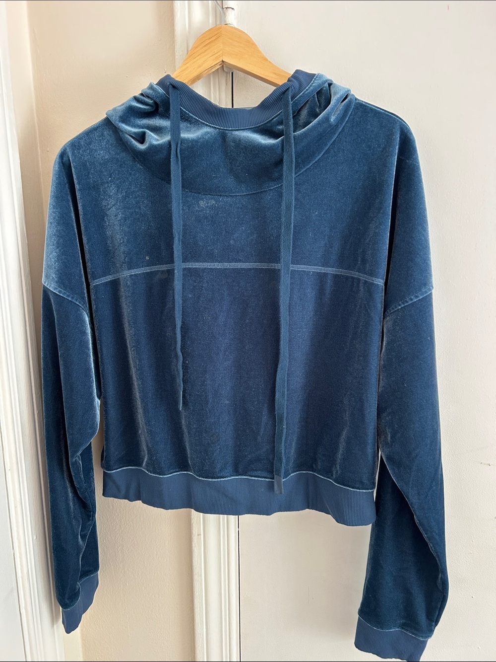 ALO Yoga Velour Cropped Hoodie
